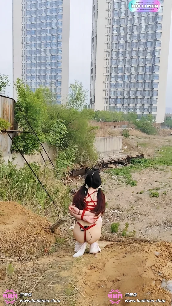 图片[10]-一颗露露子 – [素菜] 5.05小时 SM调教户外露出福利订阅 -萝莉门 LUOLIMEN